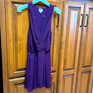 Parker XS pleated dress New woTags